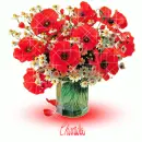 Red Flower