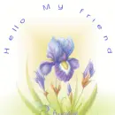 Hello My friend