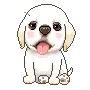 barking dog