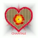 Red flower in heart