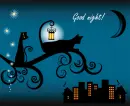 good night!