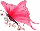 Love You