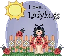 ladybug