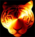 tiger avatar