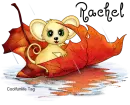 Rachel Mouse