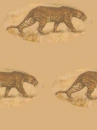 leopard wallpaper