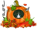 Judi Cat