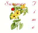 Summer Time