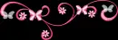 pink butterfly. black background