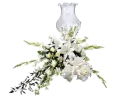 flores blancas y luz