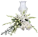 flores blancas & luz