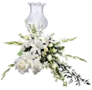 flores blancas & luz