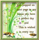Have a perfect day