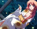 summer festival