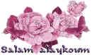 Peaceful Salam Greetings