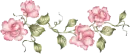 barrinha de rosas