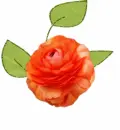 orange flower
