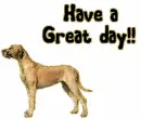 have a great day