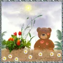 Bear in Grass