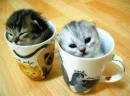 Best friends