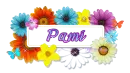 PAMI