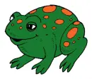 color changing frog