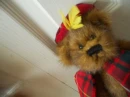 Teddy