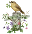 bird