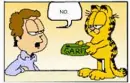 Garfield hates Chinatown
