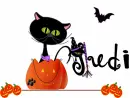Halloween Cat - Judi