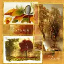 Autumn Time