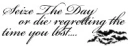 seize the day