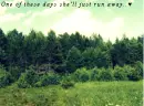 One of these days she'll just run away..â™¥