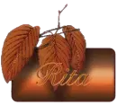 Autumn bronze - Rita