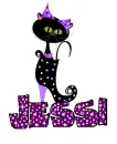 Black cat in purple boot- Jessi
