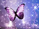 Background - Purple Sparkle Butterfly