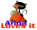 Cat and Pumpkin - Anna loves it