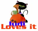 Cat and Pumpkin - Judi loves it