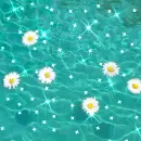 Background - Sparkle Daisies in Water