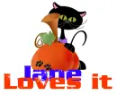 Cat and Pumpkin - Jane loves it