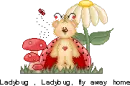 ladbug3