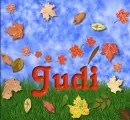 Judi