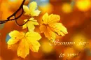 Sunny day to you!
