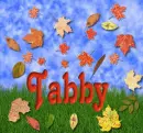 Tabby