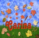 Carina