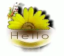 Hello
