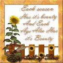 Automn..!!!