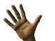 hand