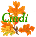 Autumn Leaves - Cindi
