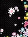 Flores de colores